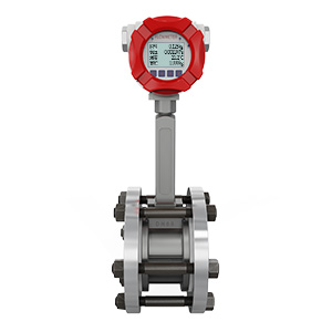 法蘭夾持式渦街流量計(jì)
